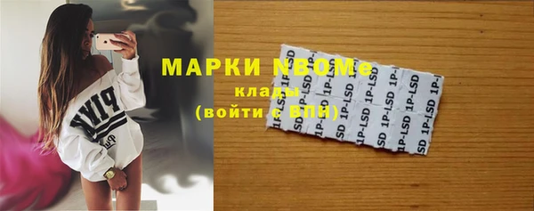 гашик Мегион