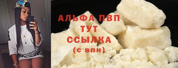 гашик Мегион