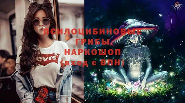 ПСИЛОЦИБИНОВЫЕ ГРИБЫ Медвежьегорск
