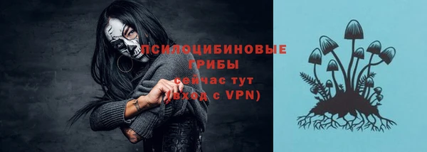 ПСИЛОЦИБИНОВЫЕ ГРИБЫ Медвежьегорск