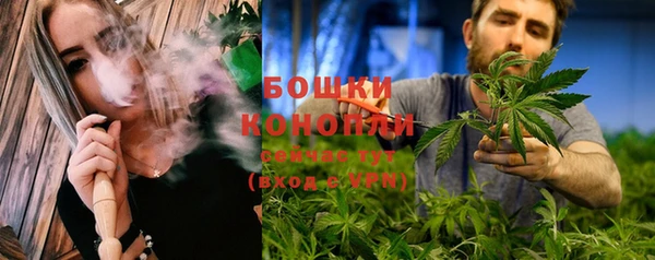 ПСИЛОЦИБИНОВЫЕ ГРИБЫ Медвежьегорск