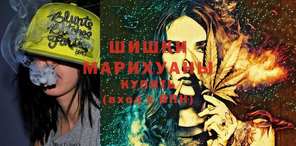 ПСИЛОЦИБИНОВЫЕ ГРИБЫ Медвежьегорск