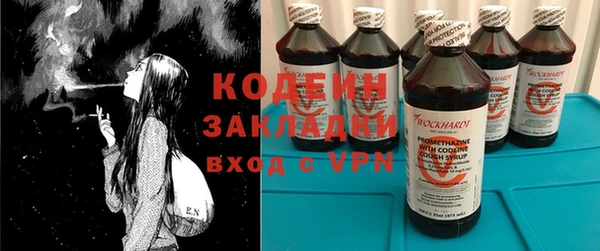 гашик Мегион