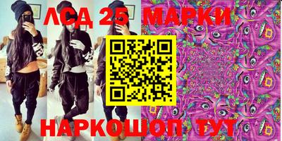 гидропоника Жуковский