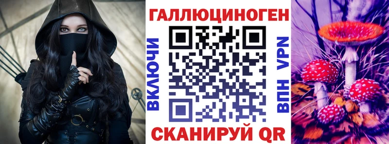 как найти закладки  Каменск-Шахтинский  Псилоцибиновые грибы мухоморы 